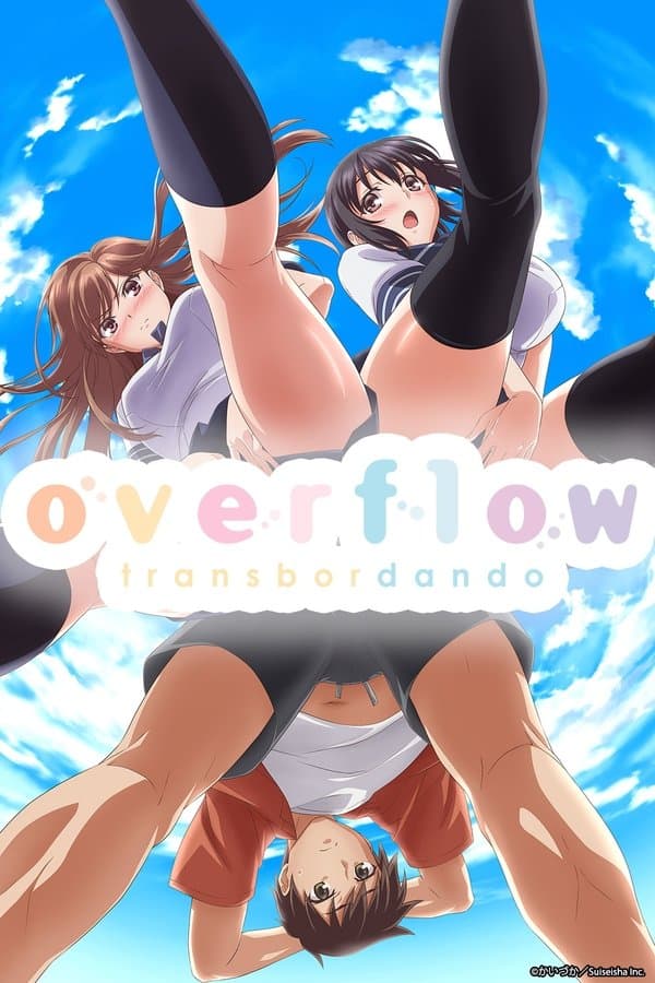 Poster Overflow: Transbordando